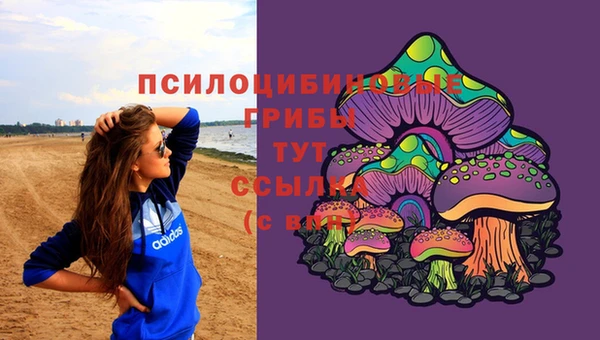 герыч Белокуриха