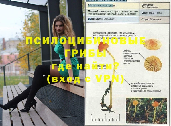 герыч Белокуриха