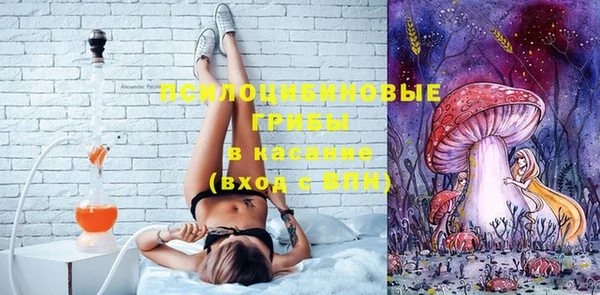 PSILOCYBIN Беломорск